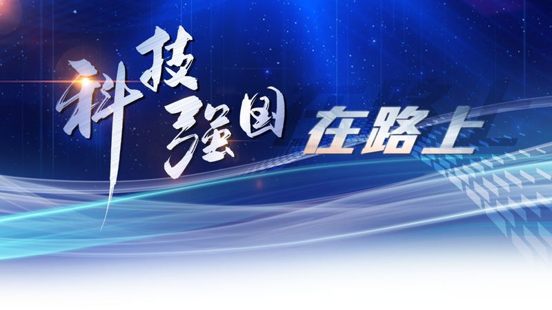 SaaS平台性能优化：揭秘提升效率的关键策略